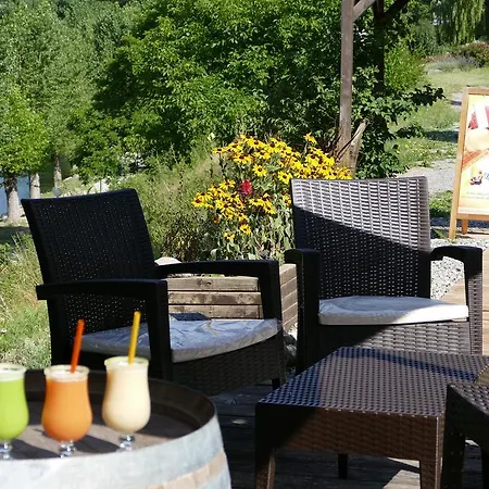 호텔 Hotel-restaurant La Lauzetane 3*